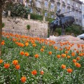 Croatia in May