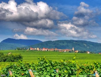 alsace