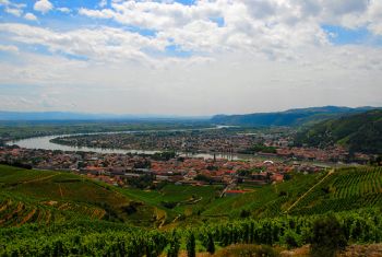 rhone