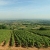 Wine Regions of France