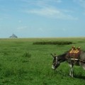 Fascinating Tours of France
