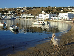 Mykonos