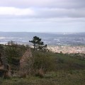 Things to Do in Belfast