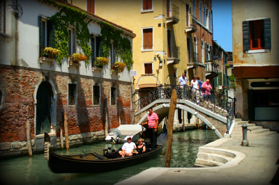 venicepage6