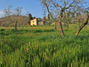 farmhouse