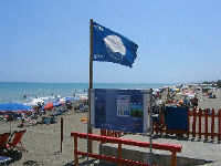 blueflag