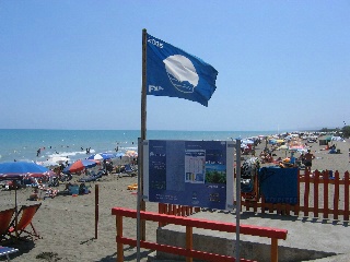 blueflag