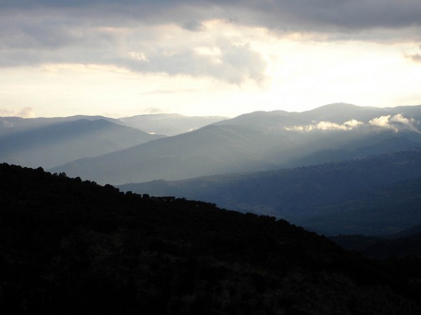 calabria2