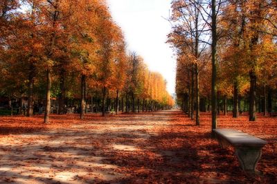 parisautumn