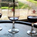 Port Tasting in Porto