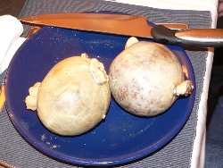 Haggis