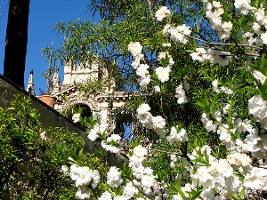 Spring in Spain