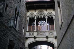 barrigotic2