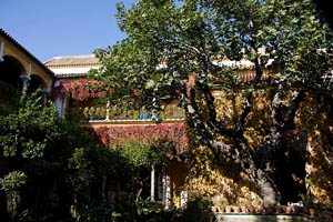 free-things-to-do-in-seville