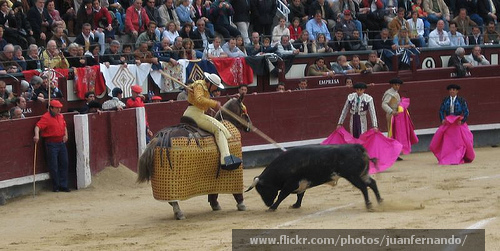 Bullfight Madrid