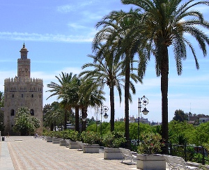torre-del-oro