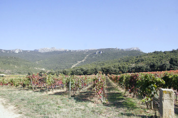 rioja