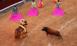 Bullfight in Madrid