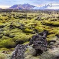 25 Things You Didn’t Know About Iceland